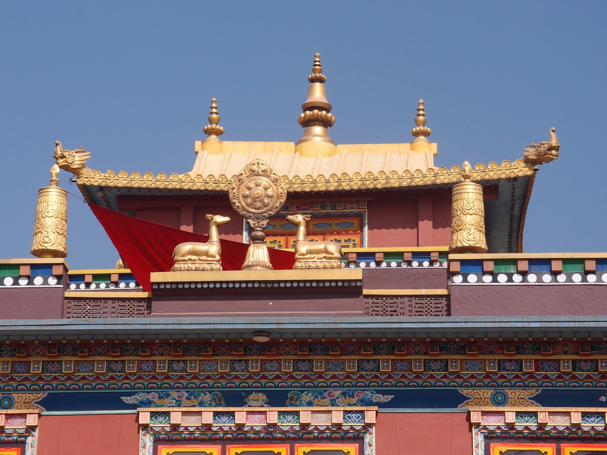 2018-01-22 10 Uhr - Boudha Walk (Foto) 